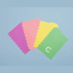 Separadores Pastel A5 para Caderno Inteligente
