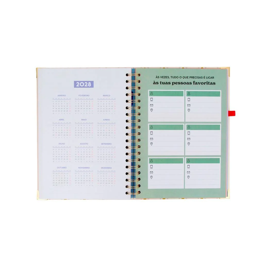 Agenda 26-27 Semanal Grande - Faz com que cada dia conte - Mr. Wonderful - Image 9
